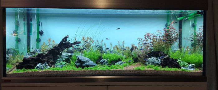 aquarium Proxima , de PB92