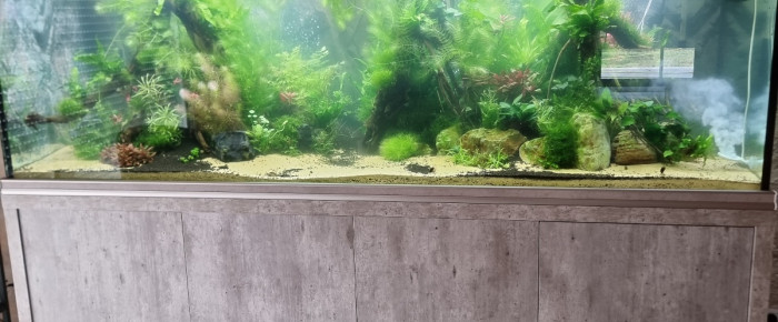 aquarium 1000 LITRES , de GEGE17