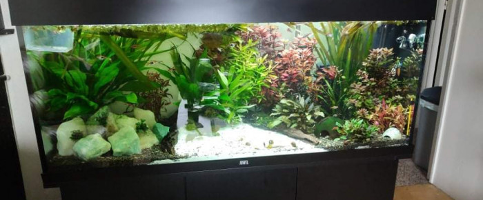 aquarium Juwel rio 240 black , de cecilia-def