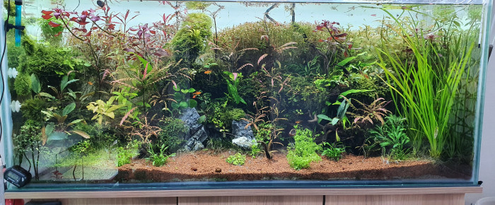 aquarium 300 litre , de Minipote768