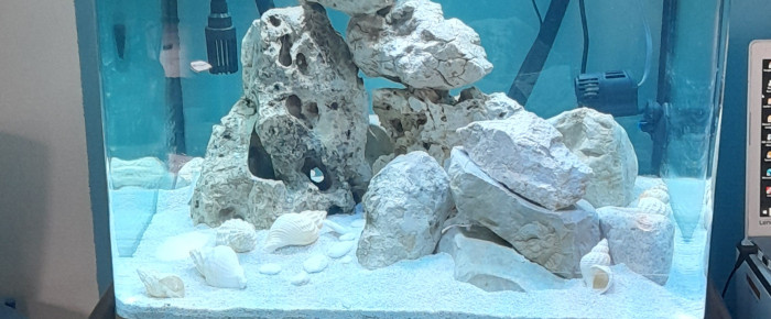 aquarium Fluval Osaka Tanganyika , de fabio-mendes-cr