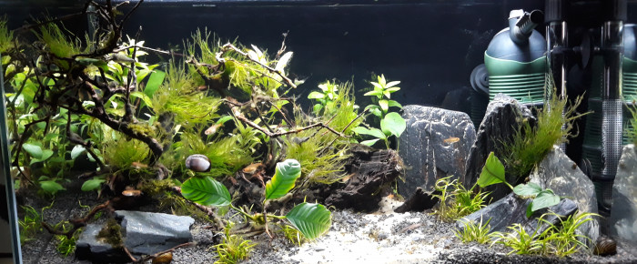 Avis sur Substrat aquarium JBL Manado