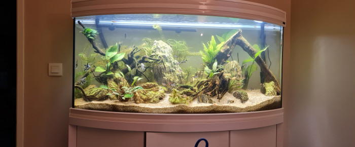 aquarium Quarium , de Ylonna1308