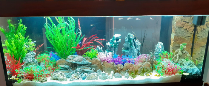 aquarium Color , de MissAlvi