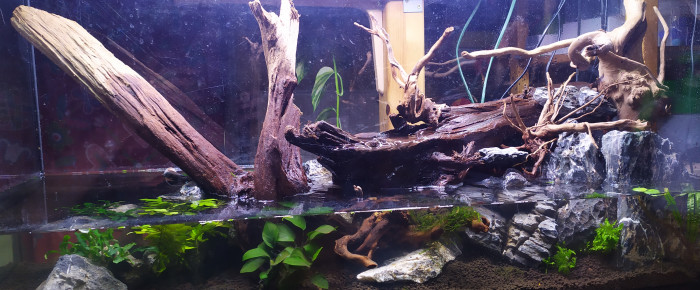 aquarium Paludarium , de Piotr