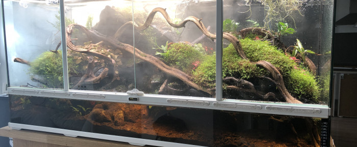 aquarium Vivarium , de Manuereva