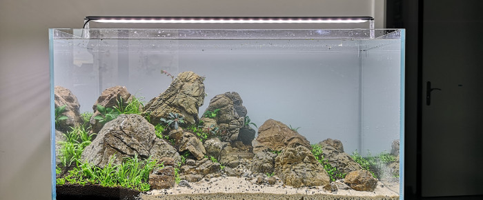 aquarium Rockymountain - 80x40x40 , de ElsassRaph