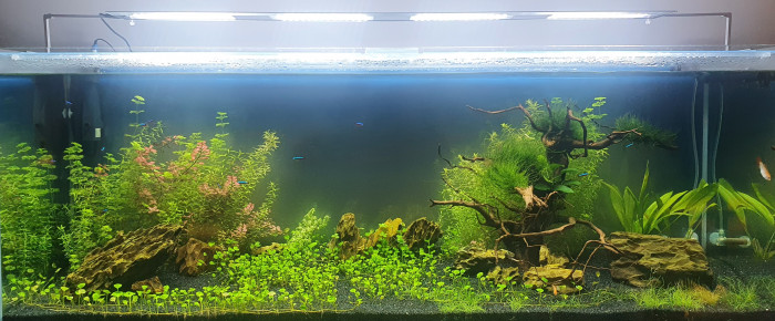 aquarium 300L , de Romno
