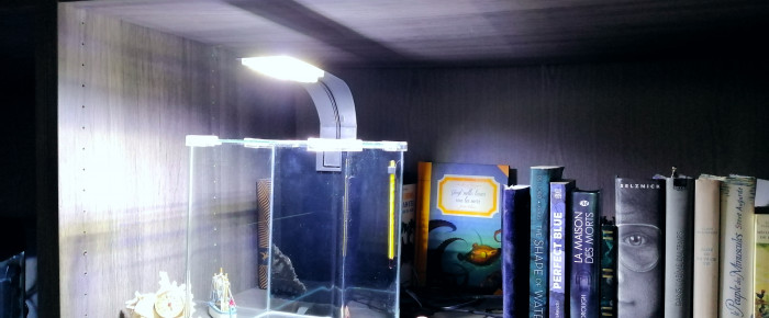 aquarium Baby Blue , de marjolabrioche