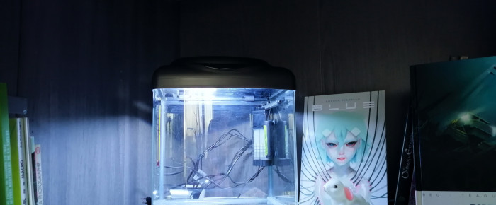 aquarium Killing  Heart Killis , de marjolabrioche