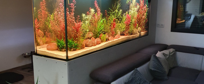 aquarium Mur , de Modmod27