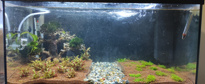 aquarium 60l , de ninon-mabileau