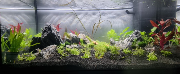 aquarium Le 110L des plapys , de LALOUX