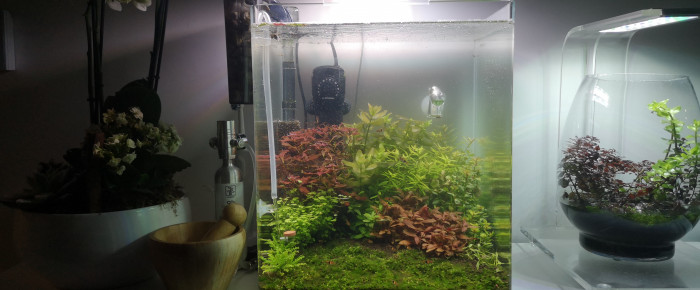 aquarium Nano , de Wakame