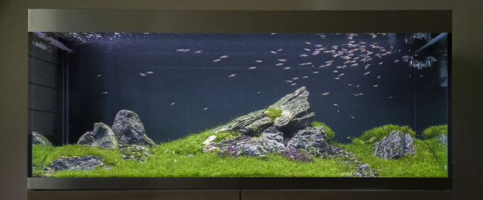 aquarium Oase highline 400 , de kevin-matagne