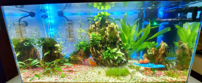 aquarium Aquarium maison , de Jimpoteur