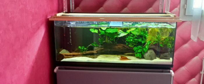aquarium Sterba , de kali29