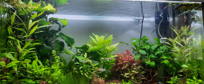 aquarium 240 litres , de Sand