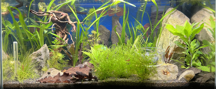 aquarium Sam 50L , de Sam33