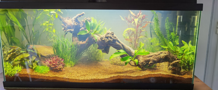 aquarium Ciano 80 , de Doudouille91