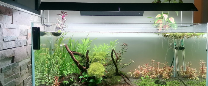 aquarium Eheim Cleartank 200l , de Bribri35