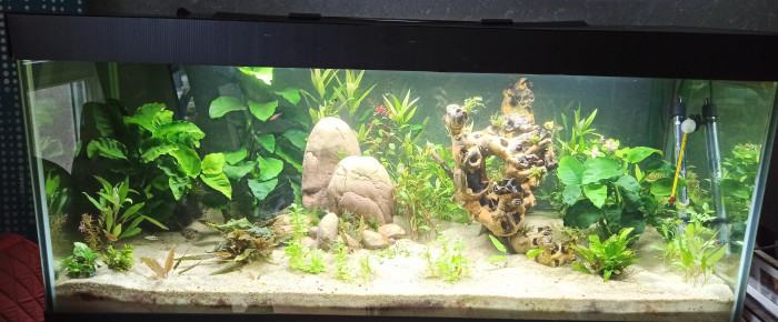 aquarium 300L Asiatique , de shanganagh-takhisis