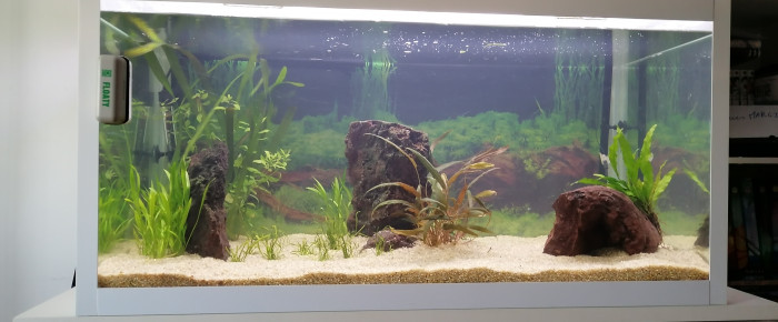 aquarium 250l , de Louvic2