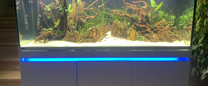 aquarium Incpiria 530 , de rom-gdu