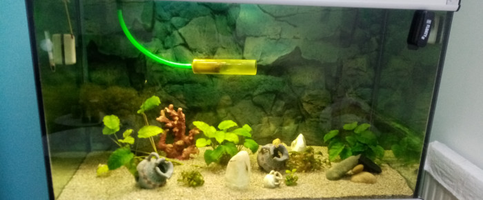 aquarium Big 1 , de Oli5644