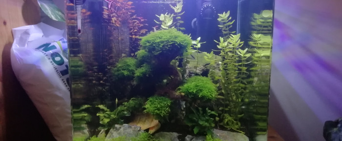 aquarium nano 30l betta , de dragonbleu13