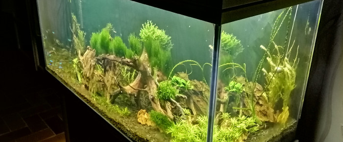 aquarium MON 200L , de CHAQUA