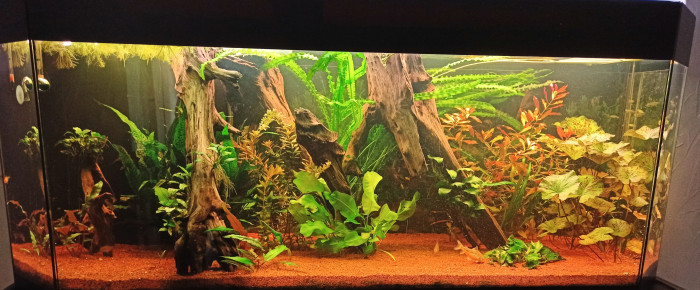 aquarium 400l , de JM_Trets