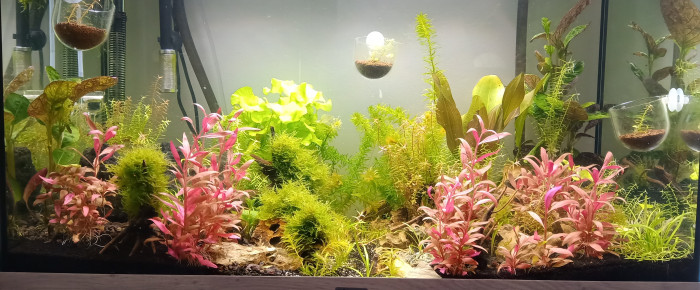 aquarium 150L , de fifoue7171