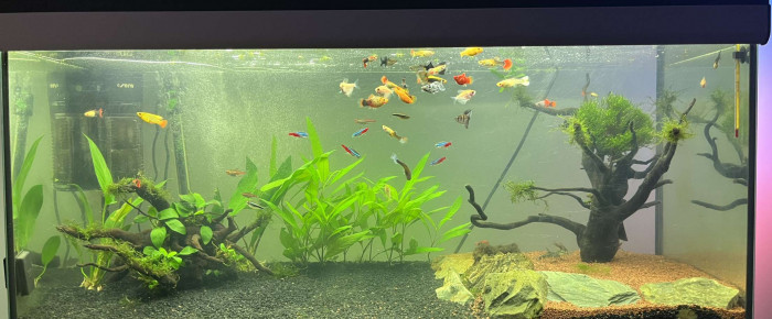 aquarium AquAL 200 , de skinskou