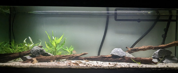 aquarium 300L , de Blitz