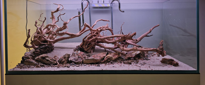 aquarium 300L scape , de mathc22