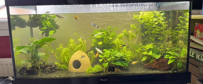 aquarium Aquarium 100L , de melmelo