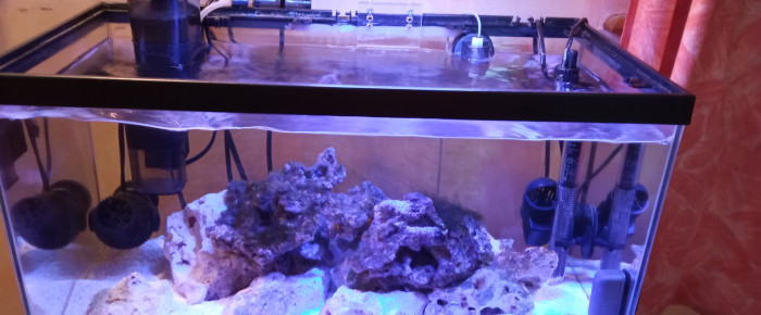 aquarium 60 L , de Artemis