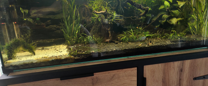 aquarium Turtle home , de Saykeer