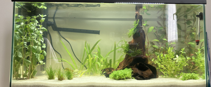 aquarium 60l , de Casse-bon