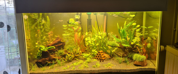 aquarium 90L , de Soso77