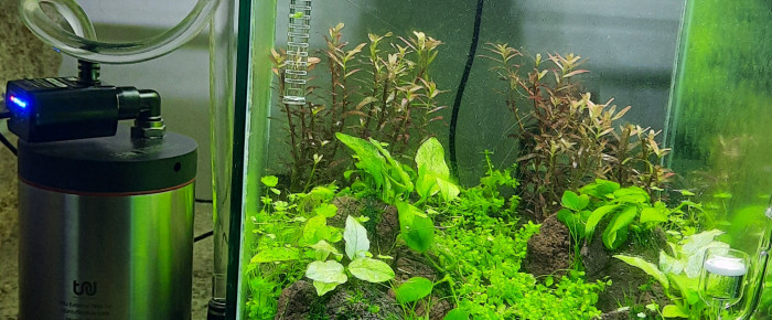 aquarium 20L cheminé , de Juuu