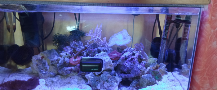 aquarium 60 L , de Artemis