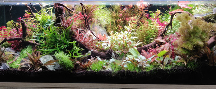 aquarium Bac 120L cuve basse , de Tryb