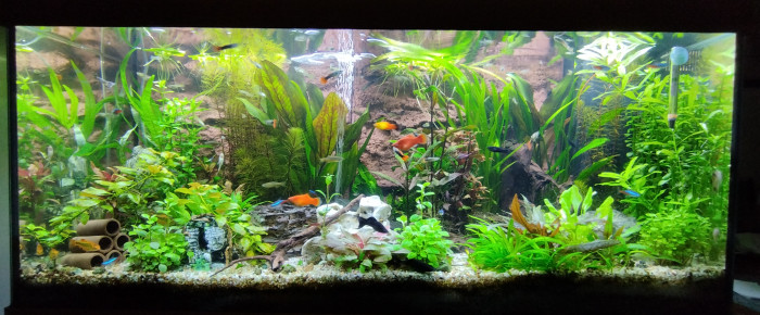 aquarium Rio 180 , de Taz55190