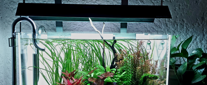 aquarium 60L CC , de Octopus83