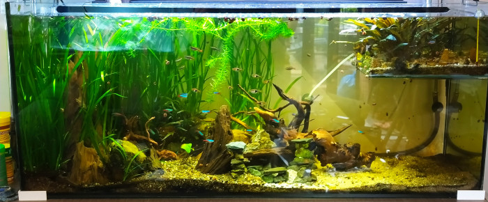 aquarium Le Duplex , de SevyHBW