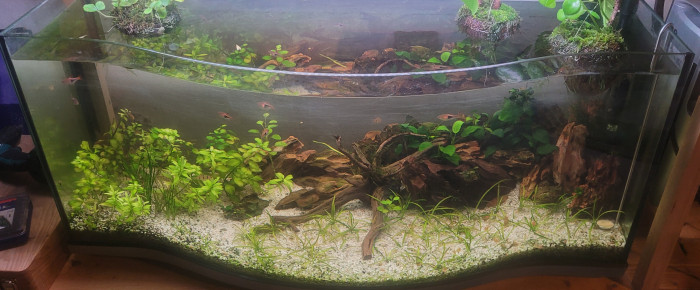 aquarium 130 litres , de Ayolit