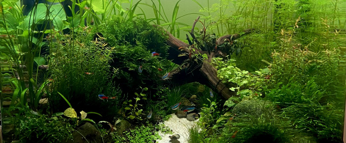 aquarium Troudeau , de Margotte33