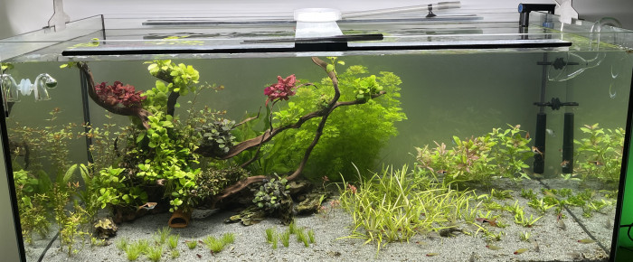 aquarium 300L , de Alexxis